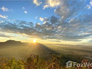 出售 土地 在 Chiang Khan, Loei