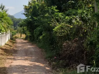 出售 土地 在 Chiang Khan, Loei