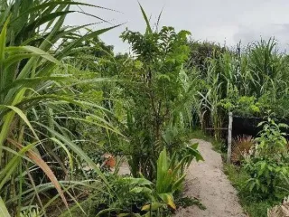 Продажа Участок в Mueang Songkhla, Songkhla