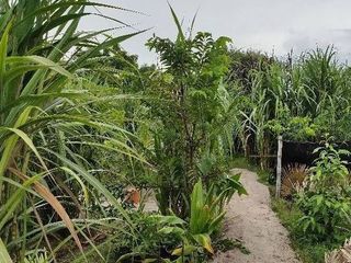 For sale land in Mueang Songkhla, Songkhla