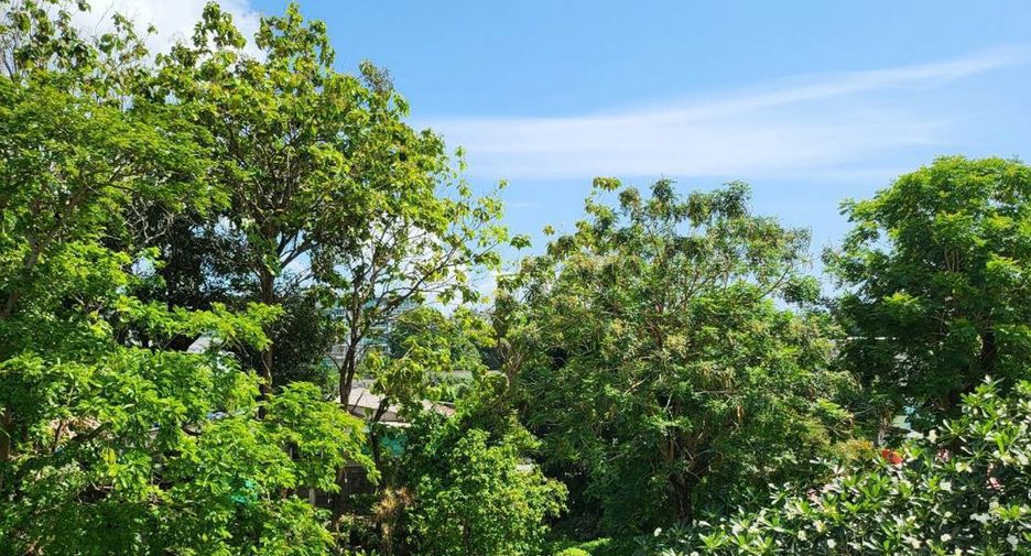 For sale and for rent 2 bedrooms condo in Mueang Phuket, Phuket
