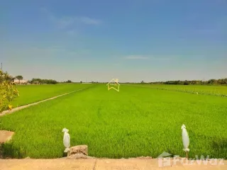 Grundstück zum Kauf in Sai Noi, Nonthaburi