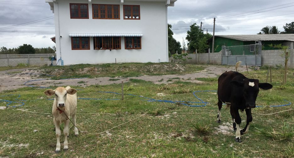 Haus zum Kauf und zur Miete mit 2 Zimmer in Suan Phueng, Ratchaburi