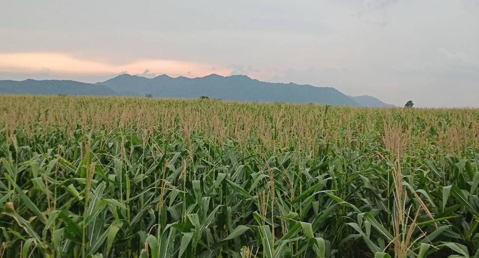 For sale land in Kaeng Khoi, Saraburi