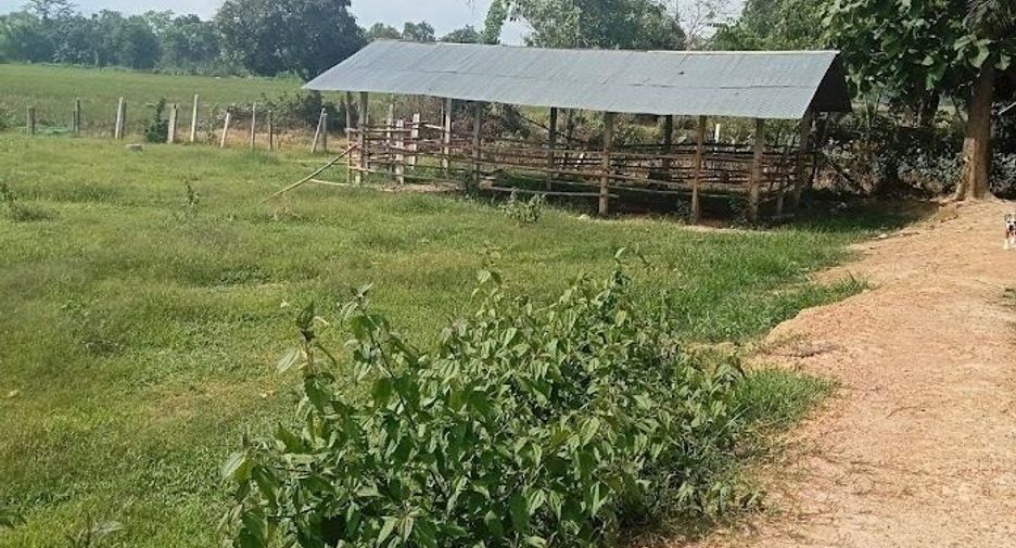Terreno en venta en Mae Lao, Chiang Rai