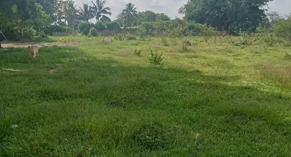 Terreno en venta en Mae Lao, Chiang Rai