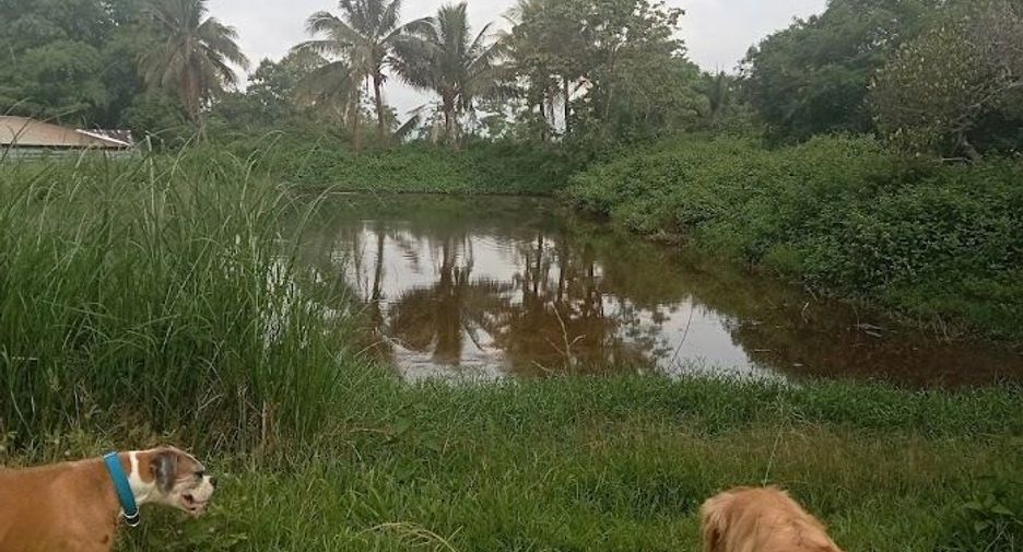 Terreno en venta en Mae Lao, Chiang Rai