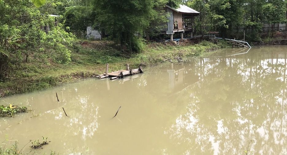 À vendre terrain à Nong Han, Udon Thani