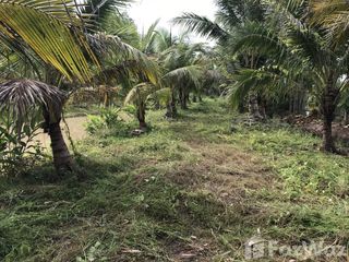 For sale land in Nong Han, Udon Thani