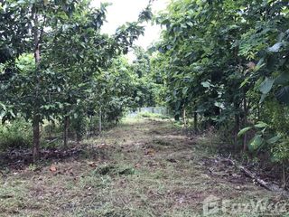 For sale land in Nong Han, Udon Thani