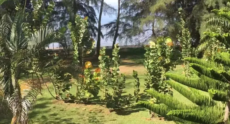 For sale 4 bedrooms villa in Hat Samran, Trang