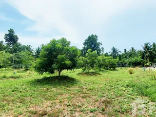 Haus zum Kauf mit 6 Zimmer in Klaeng, Rayong