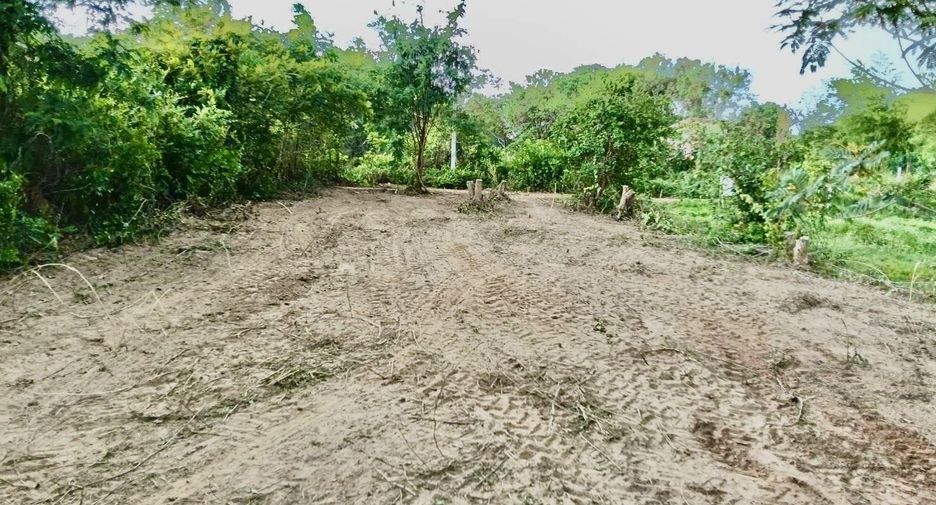 For sale land in Nong Han, Udon Thani
