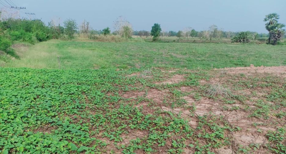 For sale land in Sak Lek, Phichit