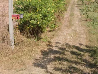 For sale land in Chaloem Phra Kiat, Nakhon Ratchasima