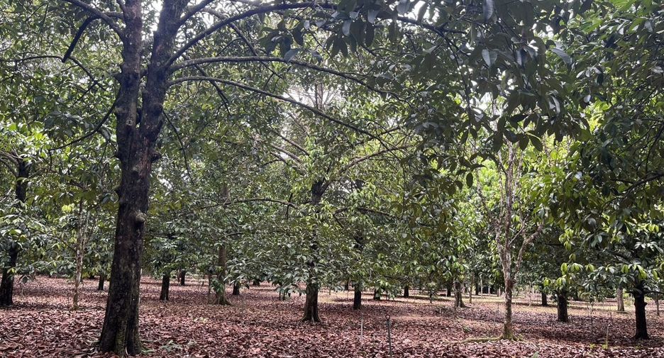 Terreno en venta en Na Yai Am, Chanthaburi
