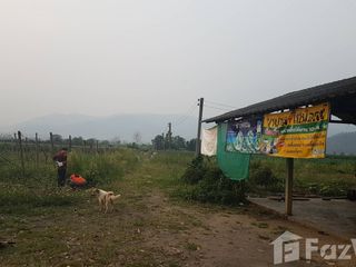 À vendre terrain à Mae Ai, Chiang Mai