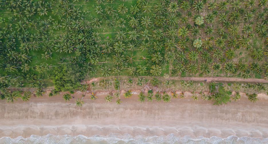 For sale land in Mueang Chumphon, Chumphon
