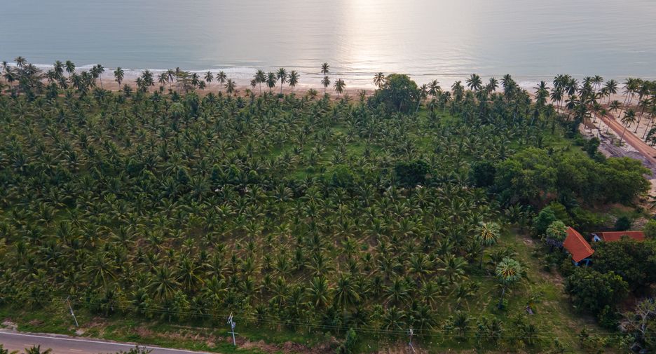 For sale land in Mueang Chumphon, Chumphon