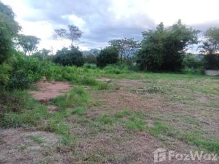 For sale land in Mae Tha, Lamphun