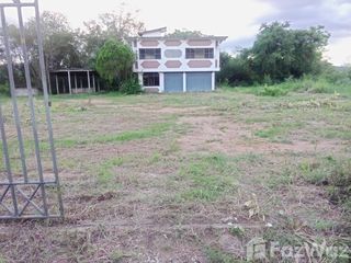 For sale land in Mae Tha, Lamphun