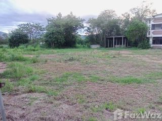 For sale land in Mae Tha, Lamphun
