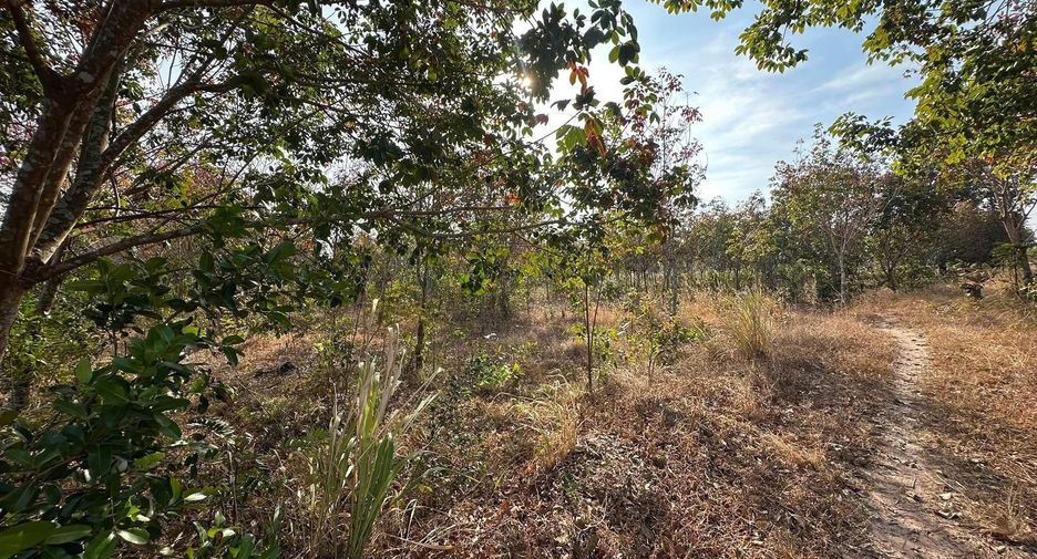 For sale land in Pa Tio, Yasothon