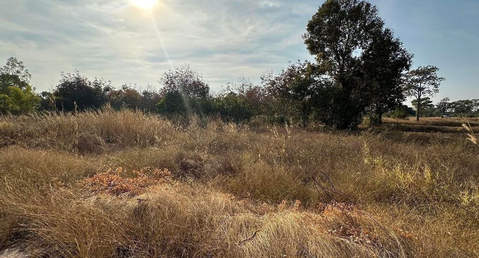 For sale land in Pa Tio, Yasothon