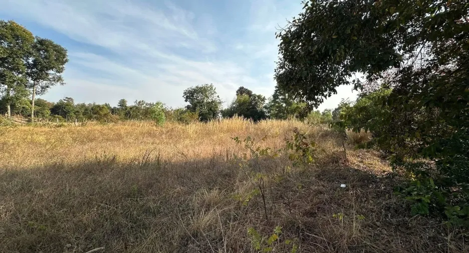 For sale land in Pa Tio, Yasothon