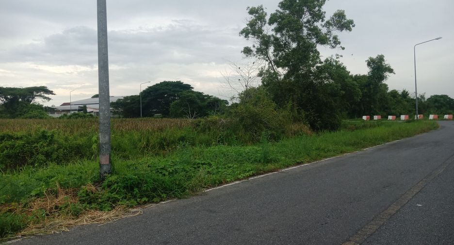 For sale land in Mueang Nakhon Si Thammarat, Nakhon Si Thammarat