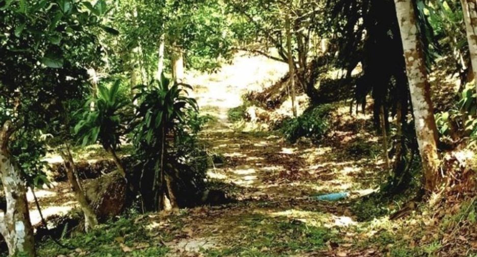 出售 土地 在 Kathu, 普吉