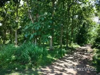 For sale land in Tak Fa, Nakhon Sawan
