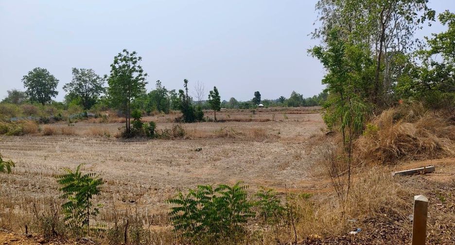 For sale land in Lom Sak, Phetchabun