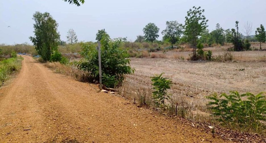 For sale land in Lom Sak, Phetchabun