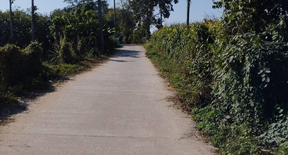 For sale land in Fang, Chiang Mai