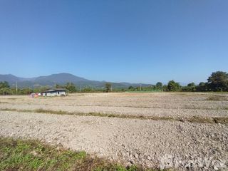 出售 土地 在 Fang, Chiang Mai