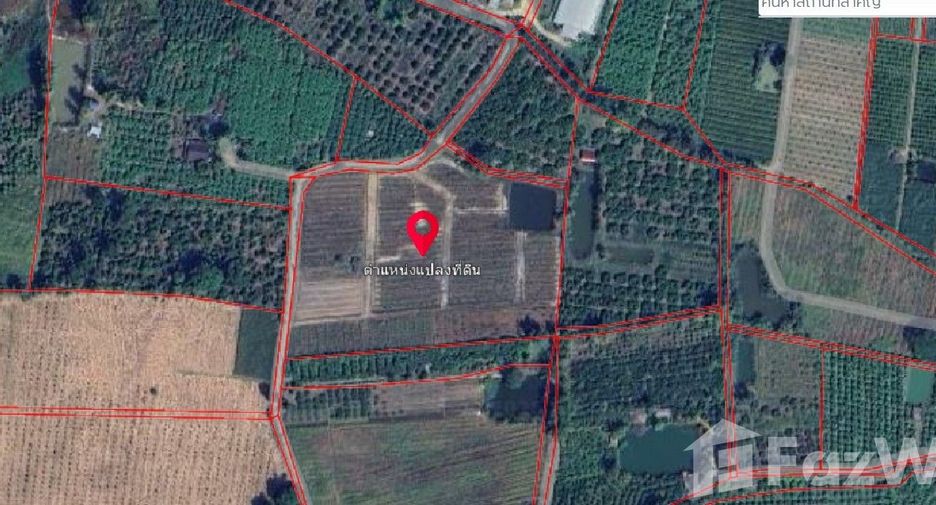 Terreno en venta en Fang, Chiang Mai