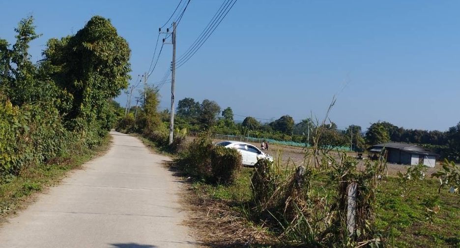 For sale land in Fang, Chiang Mai