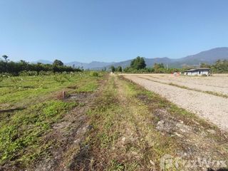 For sale land in Fang, Chiang Mai