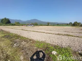 出售 土地 在 Fang, Chiang Mai