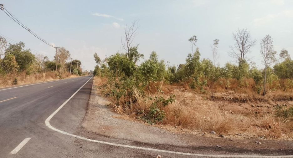 Grundstück zum Kauf in Nong Hi, Roi Et