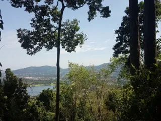 Grundstück zum Kauf in Kathu, Phuket