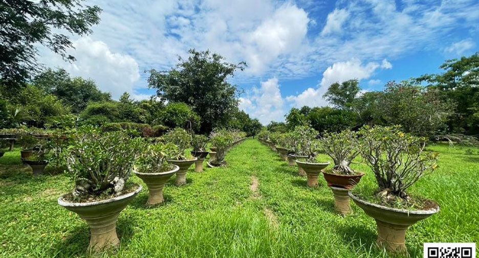 For sale 4 bedrooms house in Tron, Uttaradit