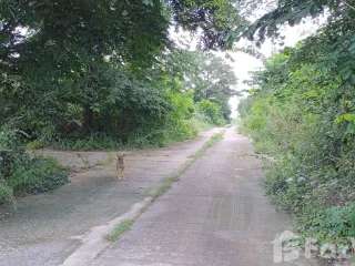 ขาย ที่ดิน ใน บ้านโป่ง, ราชบุรี