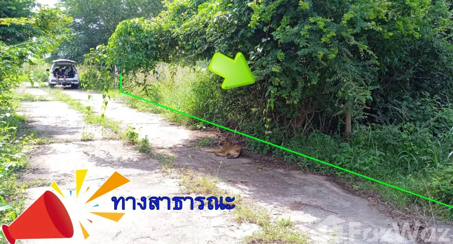 For sale land in Ban Pong, Ratchaburi
