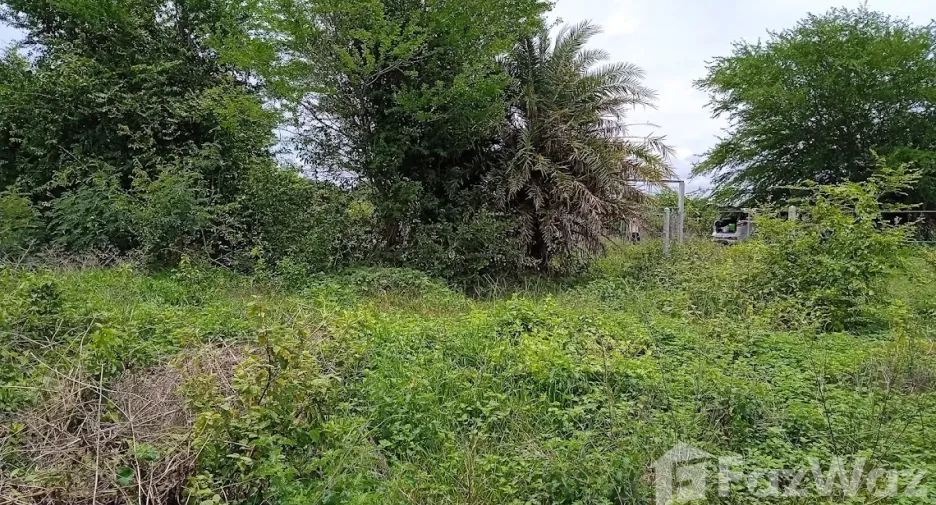 For sale land in Ban Pong, Ratchaburi