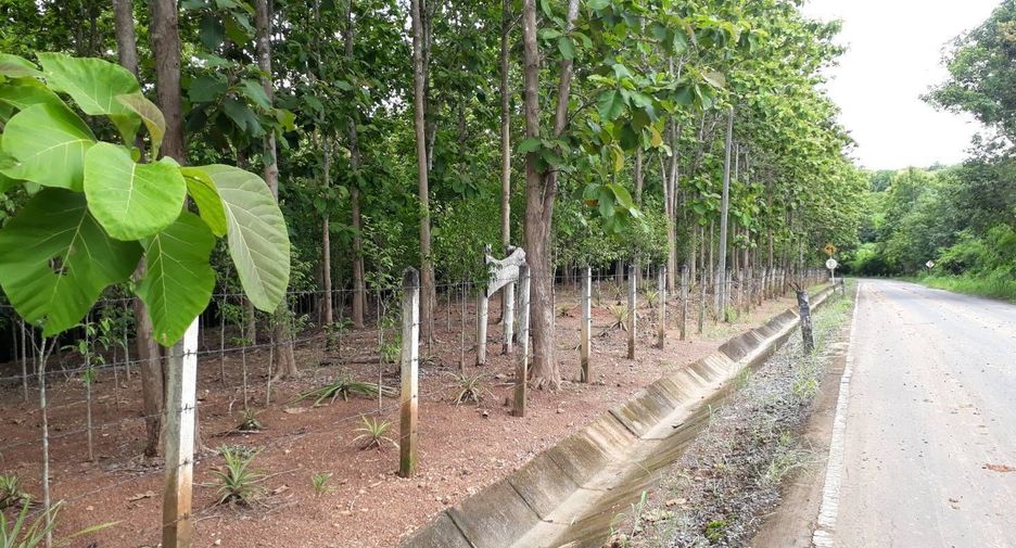 For sale land in Phu Phiang, Nan