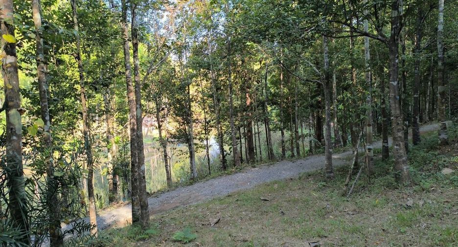For sale land in Phu Phiang, Nan