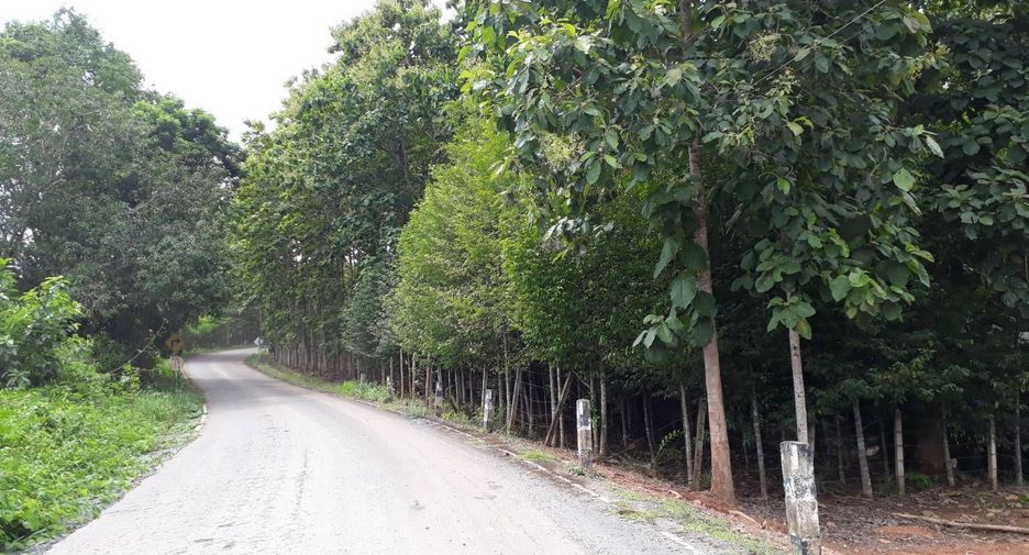 For sale land in Phu Phiang, Nan