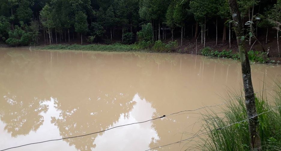For sale land in Phu Phiang, Nan